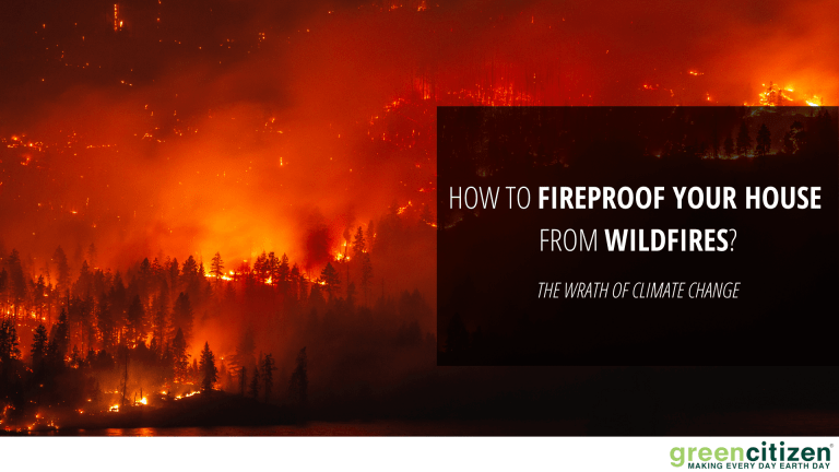 How to Fireproof Your House from Wildfires