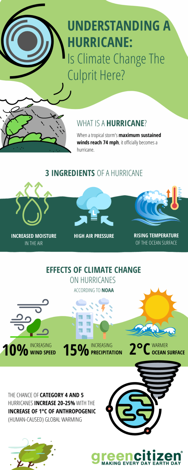 How To Prepare For A Hurricane? The A-Z Guide - GreenCitizen