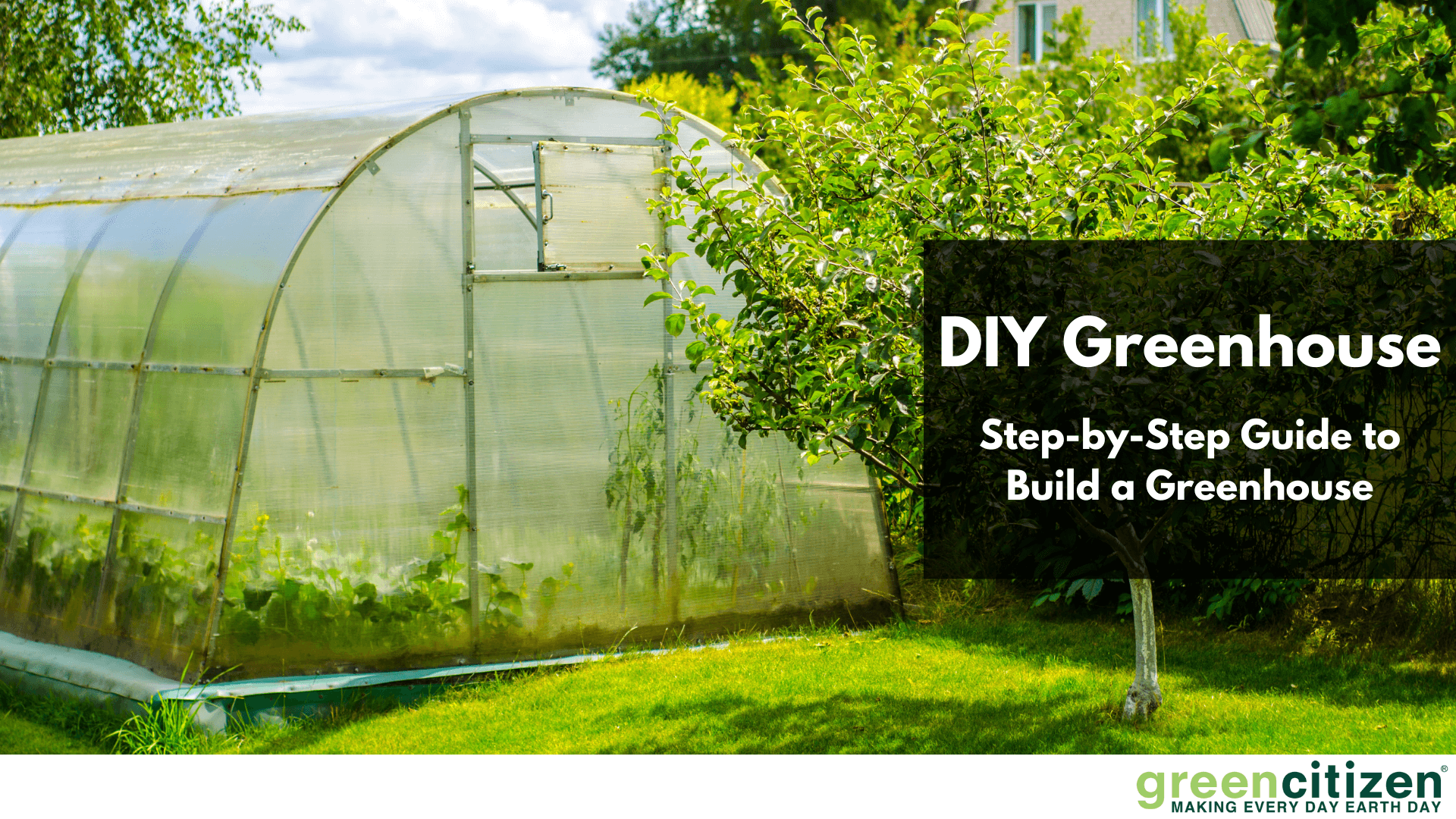 DIY Greenhouse Step by Step Guide To Build A Greenhouse