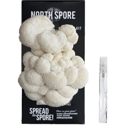 North Spore Lion's Mane Oyster Mushroom Grow Kit