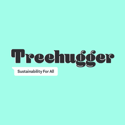 sustainability blog Treehugger