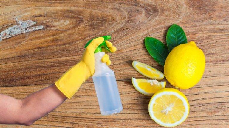 How To Use A Citric Acid Cleaner