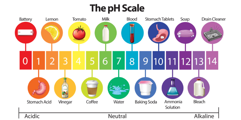 pH Scale baking soda and vinegar