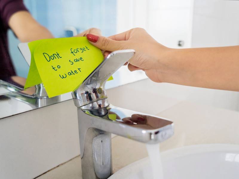 New Year's Resolutions to save water