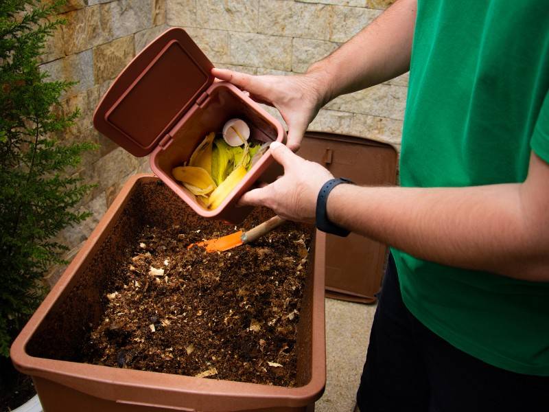 New Year's Resolutions to start composting