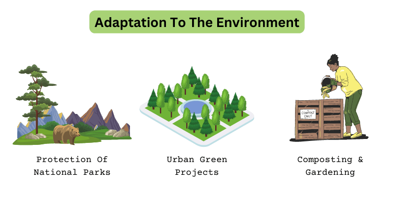 Adaptation To The Environment - human environment interaction