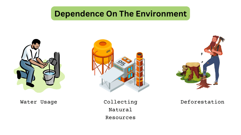 Dependence On The Environment - human environment interaction