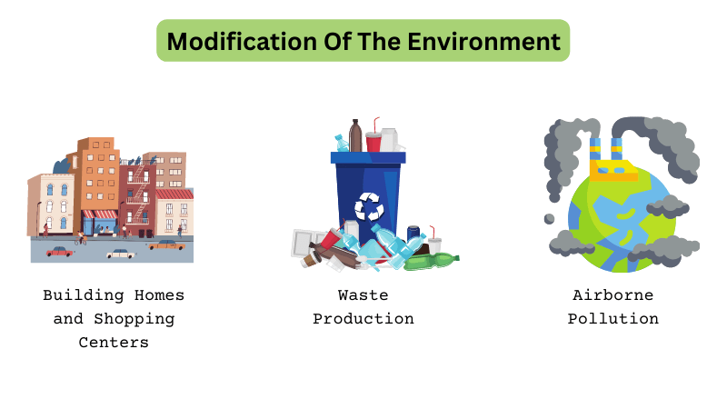 Modification of The Environment - human environment interaction