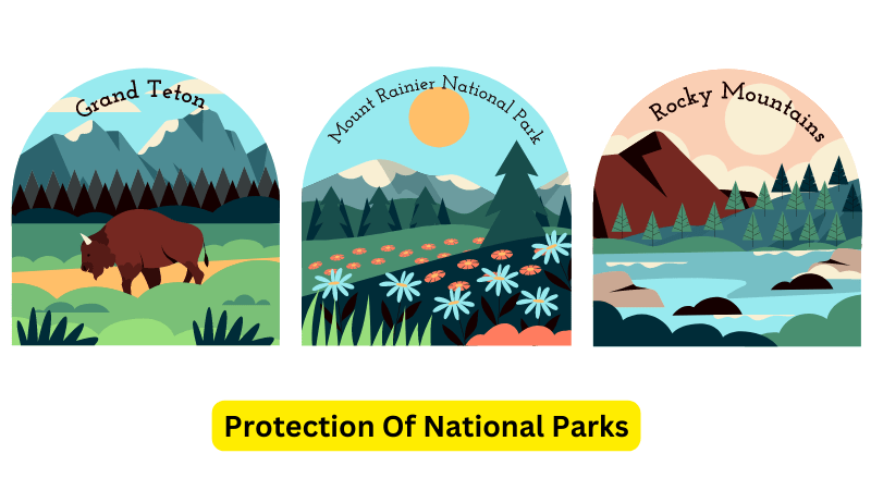 Protection Of National Parks - human environment interaction
