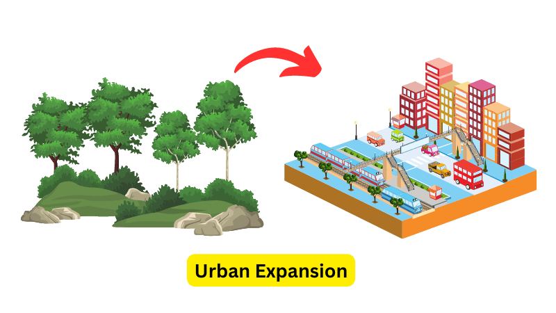 Urban Expansion - human environment interaction