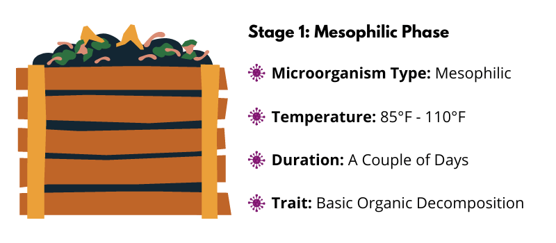 Compost Pile Mesophilic Stage