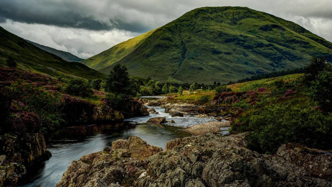World’s First Rewilding Center Breathes Life into Scottish Highlands