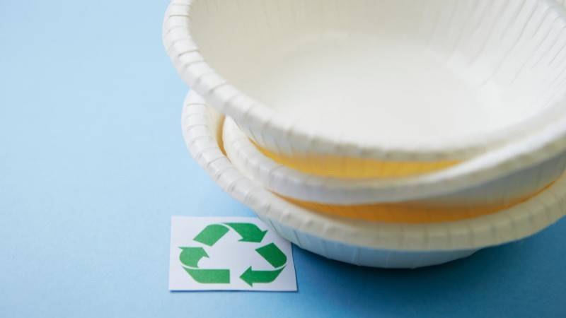 Paper Plates Recycling