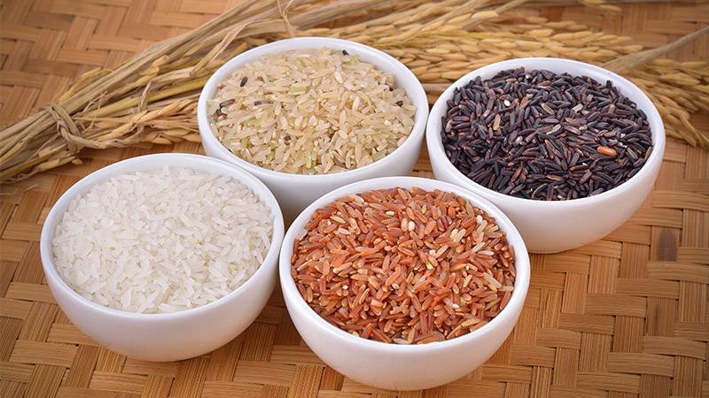 Different rice varieties
