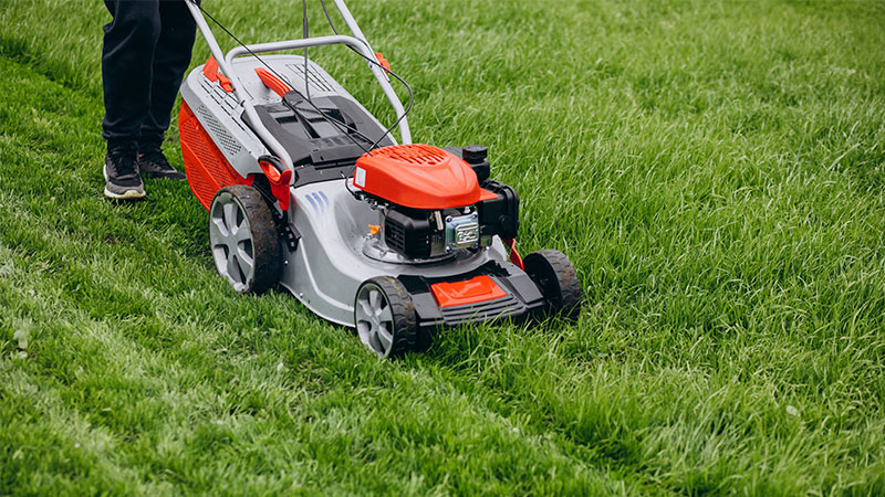 Featured image for Environmentally-Friendly Robot Mowers Transform the Landscape of Lawn Care article