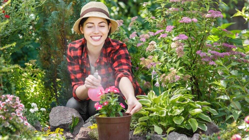 Natural Pesticides For Your Garden: Homemade & Effective