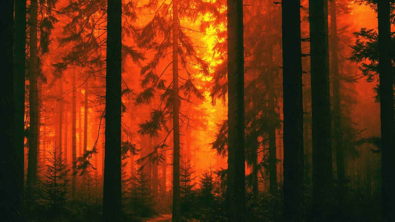 New Solar-Powered AI Sensors Can Detect Wildfires Earlier