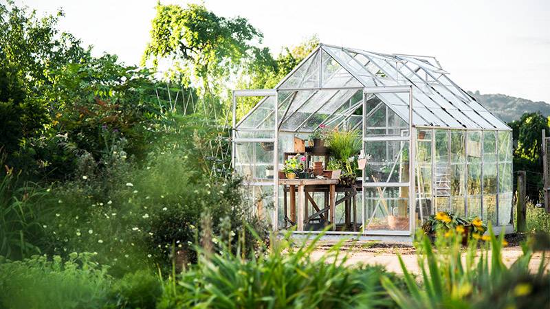 Professionally-done greenhouse