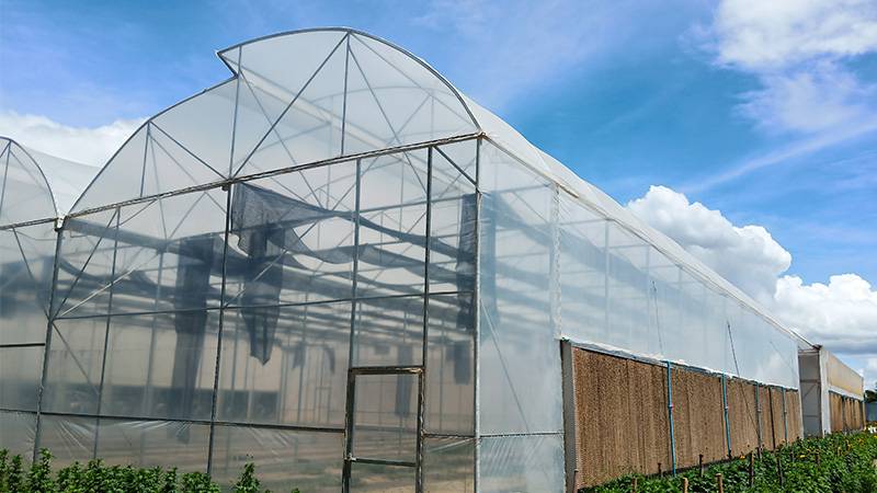 A sawtooth-type greenhouse
