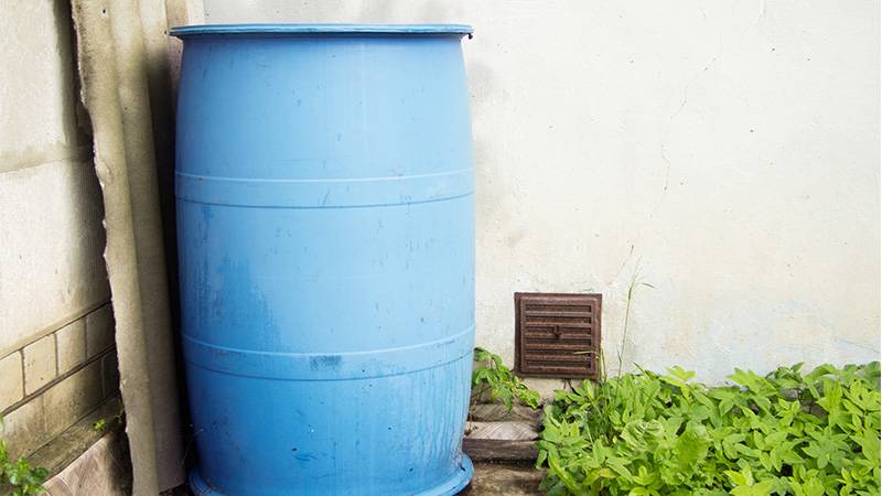 Water barrel to cool a greenhouse