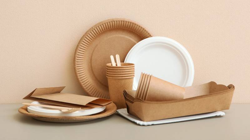 are paper plates biodegradable