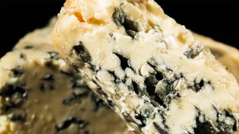 Can you compost moldy cheese