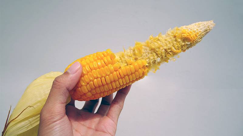 Creative uses for leftover corn cobs