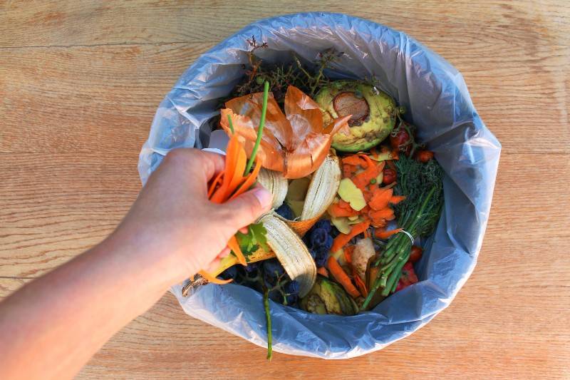 What to Consider When Buying a Countertop Compost Bin