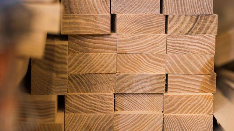 Eco-Friendly Building Revolution: Mass Timber’s Positive Impact on the Planet
