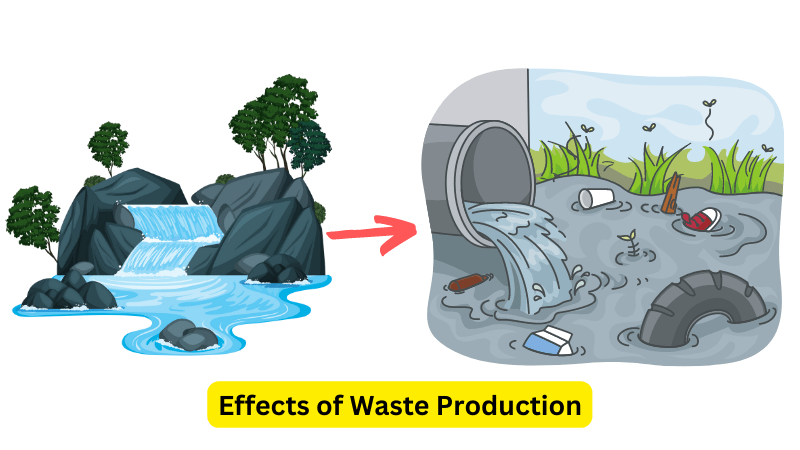 Waste Production - human environment interaction