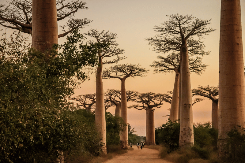 Madagascar - sustainable travel destinations