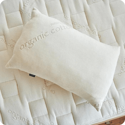 Naturepedic Organic Solid Latex Pillow - best organic pillows