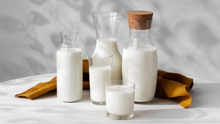 How to Make Dairy-Free Milk at Home to Reduce Environmental Impact