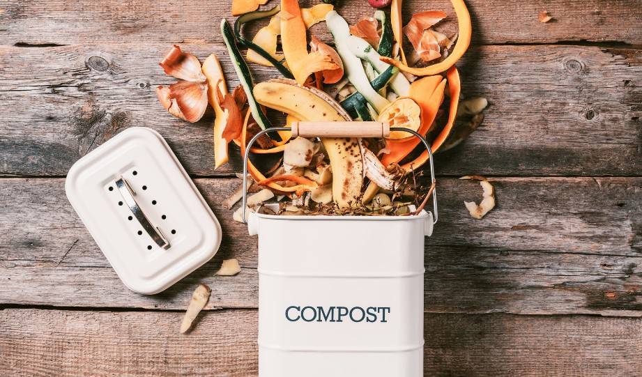A Guide to Apartment Composting Without The Smelly Problem