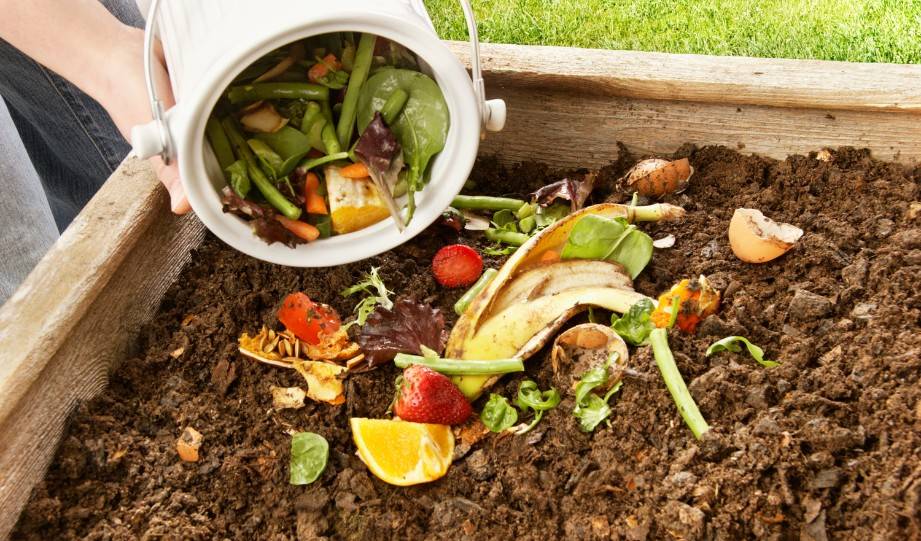 A Step-by-Step Guide to Creating Truly Organic Compost