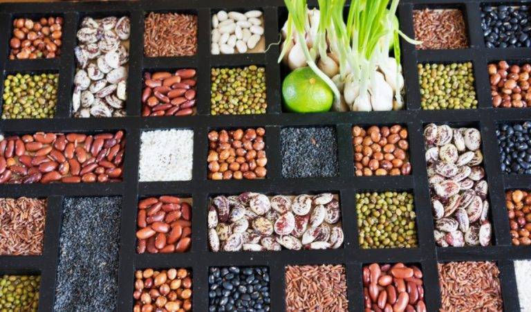 How to Start a Seed Library in Your Community